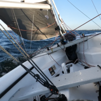 Turtle – Topaz Magno Sport